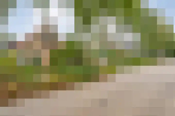 Tweede Elsweg 5 Mariënberg foto 3