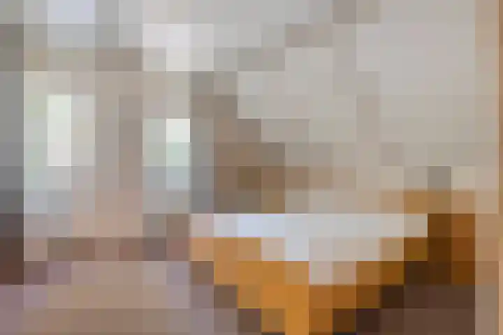 Tweede Elsweg 5 Mariënberg thumbnail 30