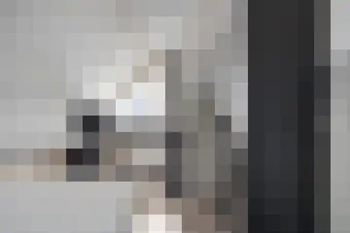 Tweede Elsweg 5 Mariënberg thumbnail 32