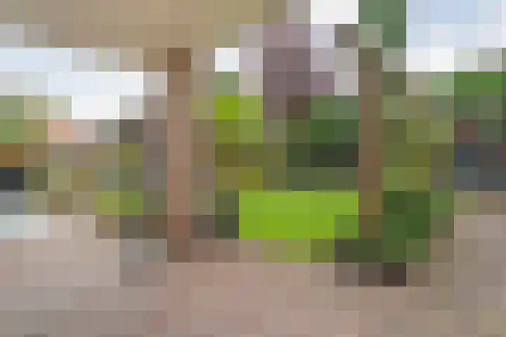 Tweede Elsweg 5 Mariënberg thumbnail 44