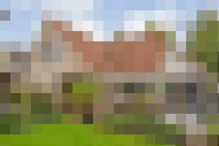 Tweede Elsweg 5 Mariënberg thumbnail 45