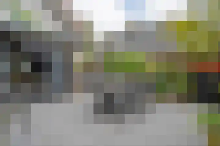Tweede Elsweg 5 Mariënberg thumbnail 46