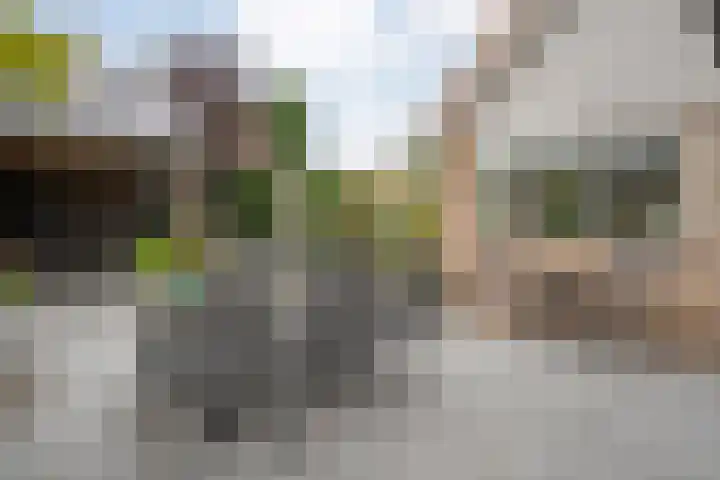 Tweede Elsweg 5 Mariënberg thumbnail 47