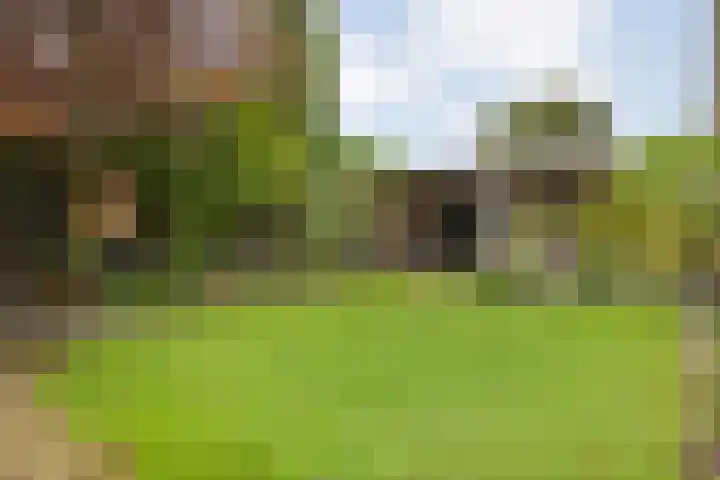 Tweede Elsweg 5 Mariënberg thumbnail 48