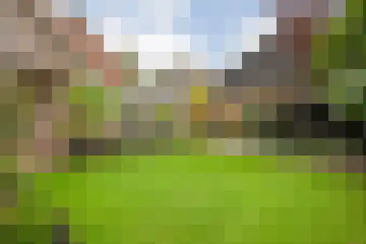 Tweede Elsweg 5 Mariënberg thumbnail 49