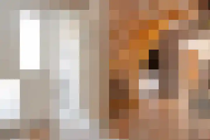 Tweede Elsweg 5 Mariënberg thumbnail 5