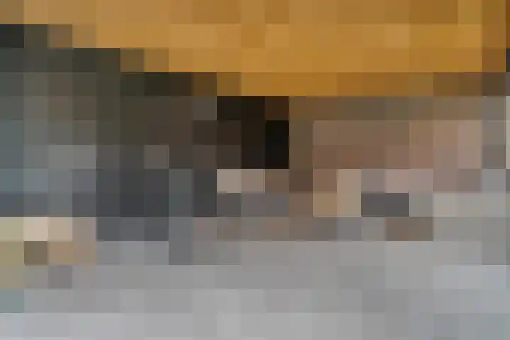 Tweede Elsweg 5 Mariënberg thumbnail 50