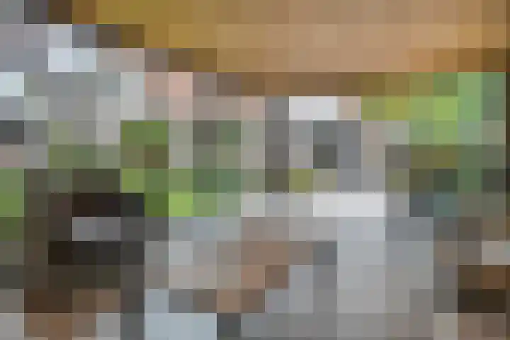 Tweede Elsweg 5 Mariënberg thumbnail 51