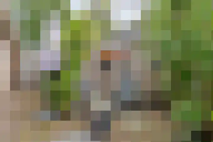 Tweede Elsweg 5 Mariënberg thumbnail 53