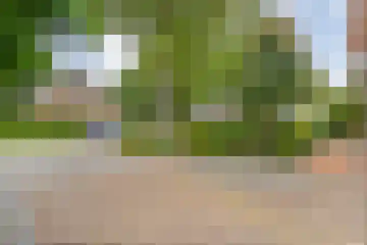 Tweede Elsweg 5 Mariënberg thumbnail 54