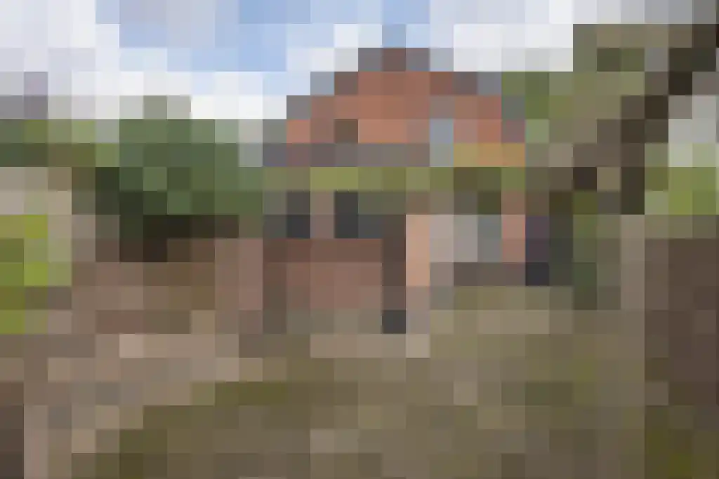Tweede Emmastraat 21 Enschede thumbnail 4