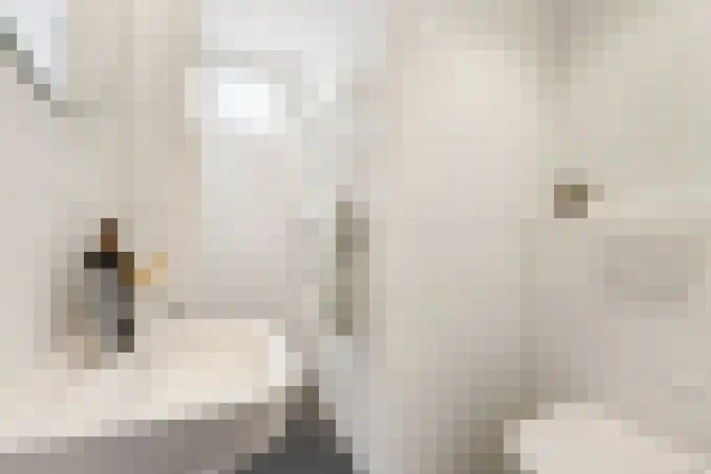 Tweede Goudsbloemdwarsstraat 17 1 Amsterdam thumbnail 14