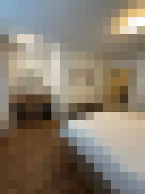 Tweede Goudsbloemdwarsstraat 9 Amsterdam thumbnail 6