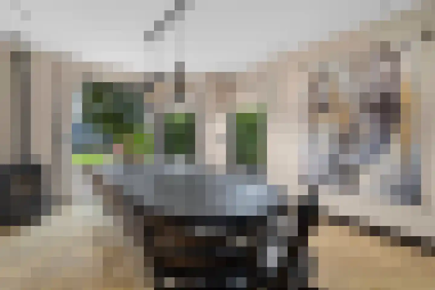 Tweede Groenelaan 4 Castricum thumbnail 18