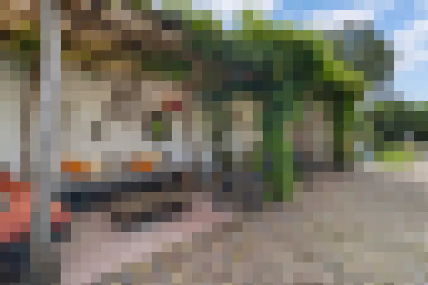 Tweede Groenelaan 4 Castricum thumbnail 38