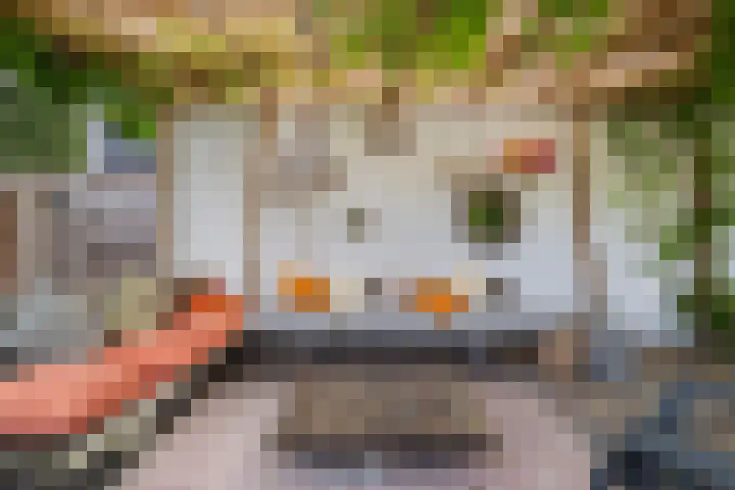 Tweede Groenelaan 4 Castricum thumbnail 39