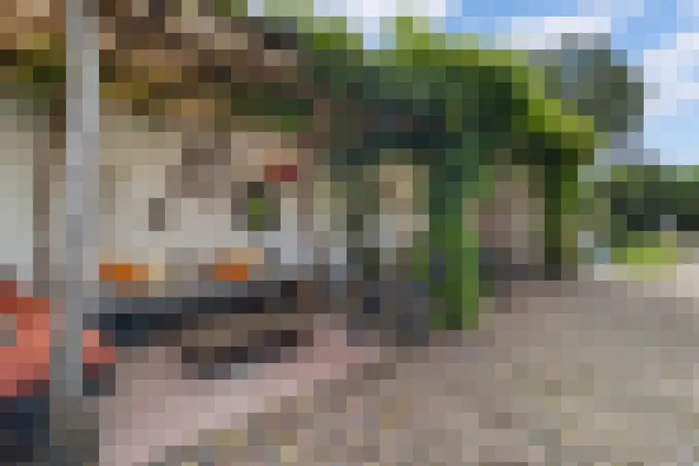 Tweede Groenelaan 4 Castricum thumbnail 4
