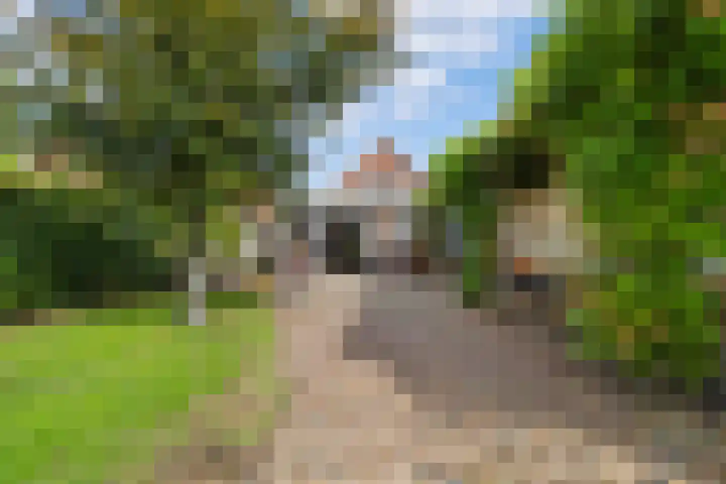 Tweede Groenelaan 4 Castricum thumbnail 41