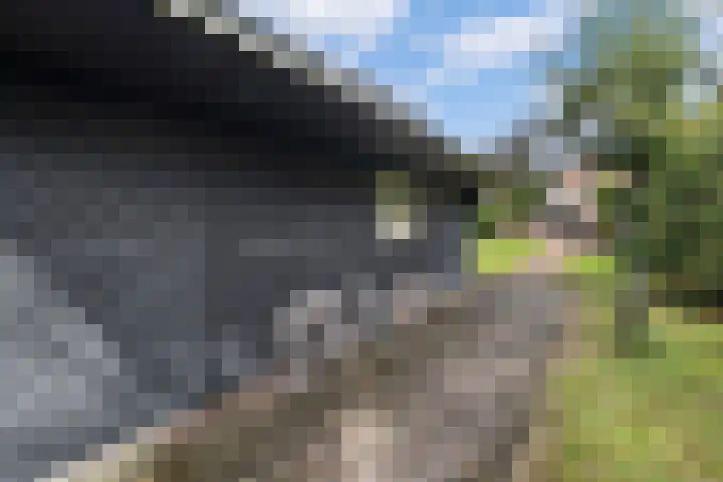 Tweede Groenelaan 4 Castricum thumbnail 45