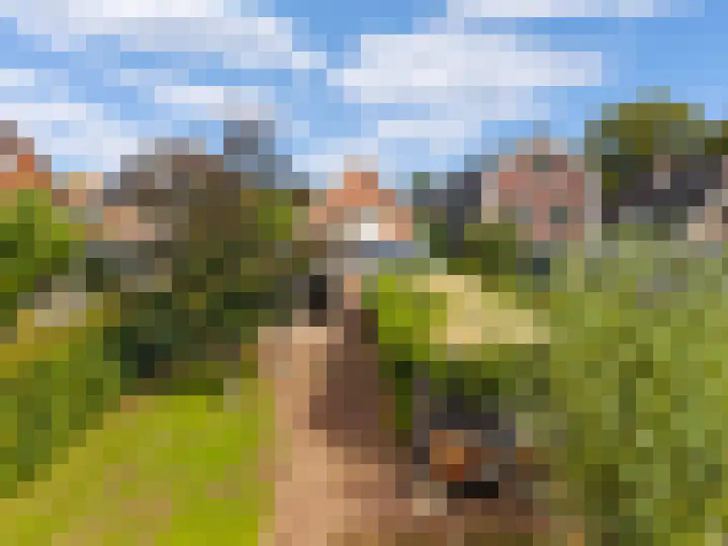 Tweede Groenelaan 4 Castricum thumbnail 46