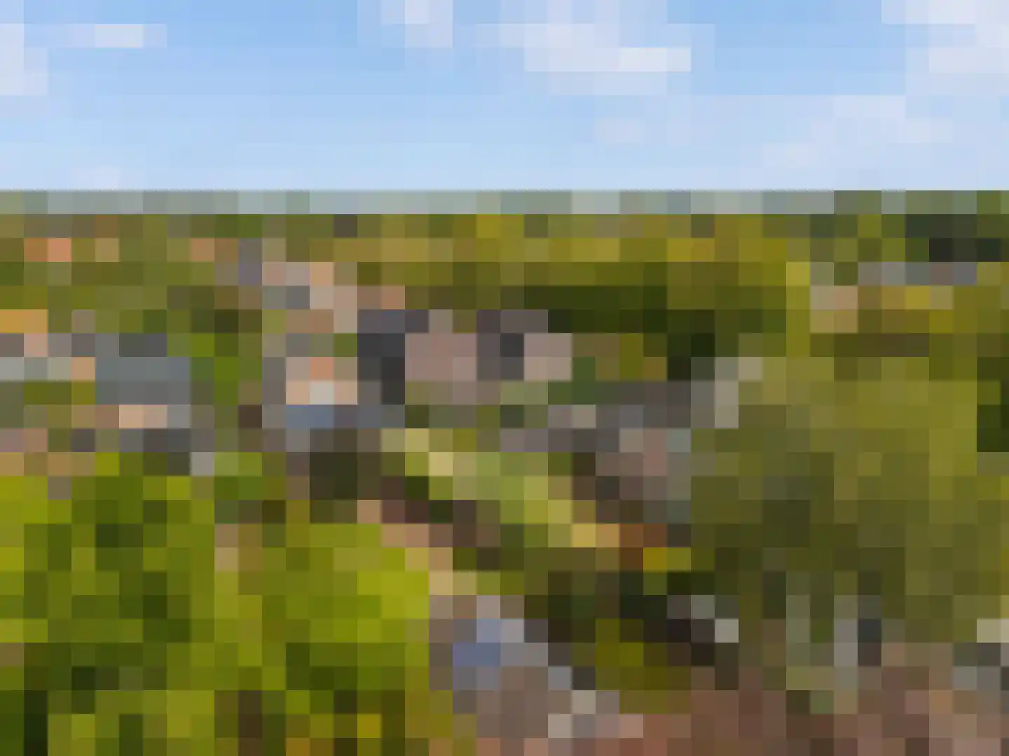 Tweede Groenelaan 4 Castricum thumbnail 48