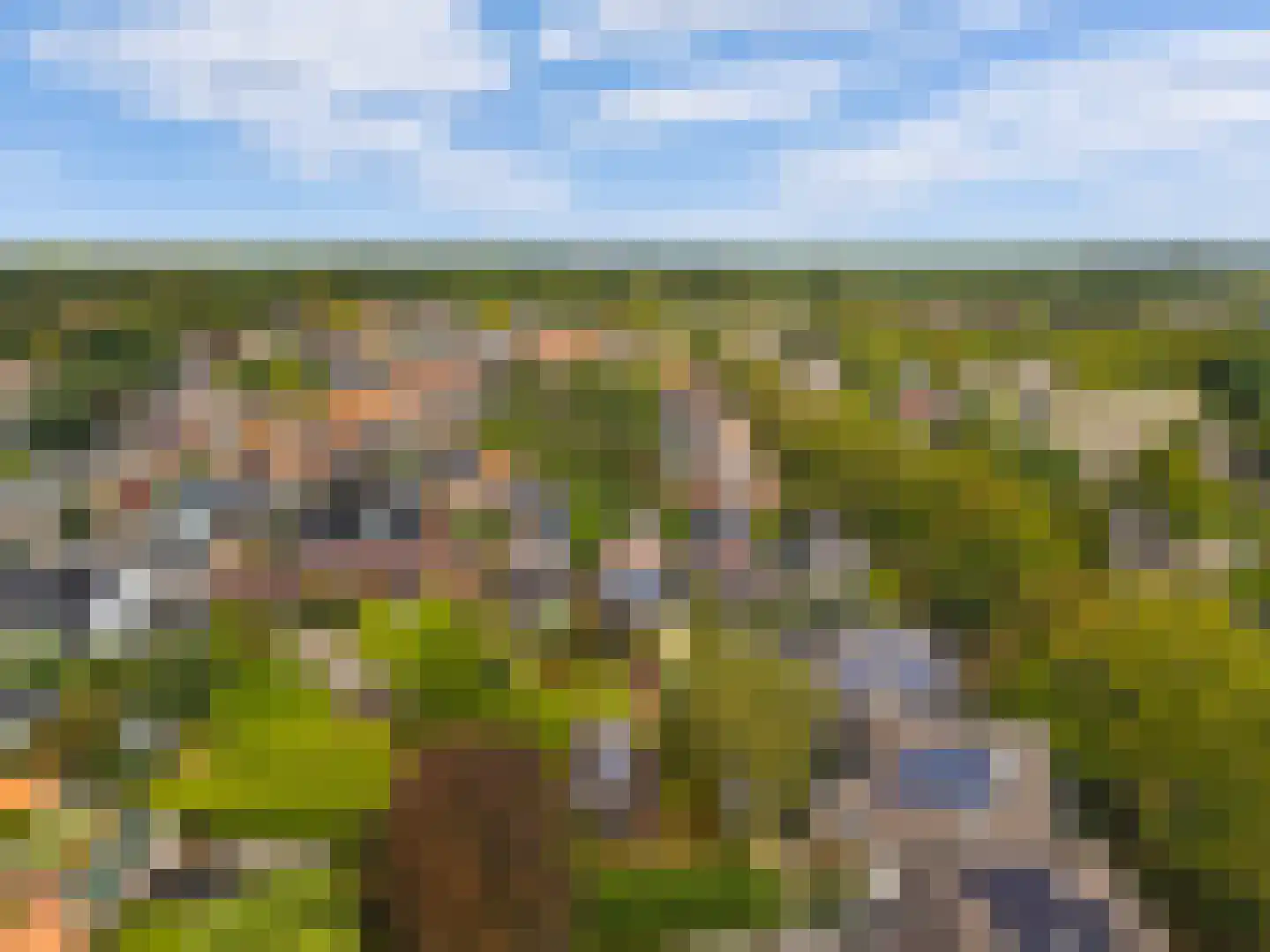 Tweede Groenelaan 4 Castricum thumbnail 49
