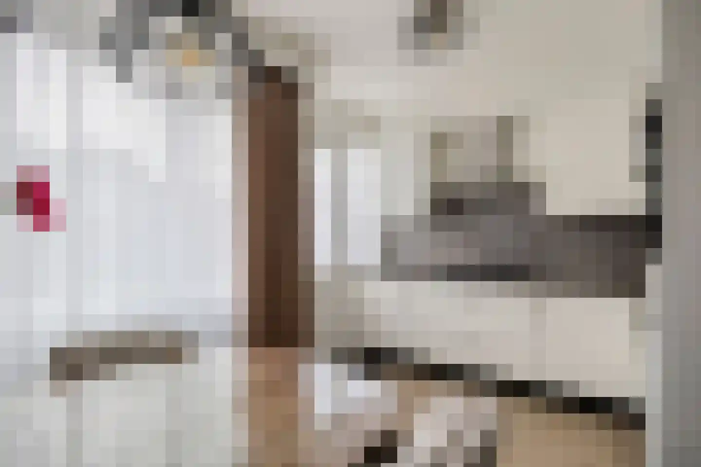 Tweede Hambaken 44 's-Hertogenbosch thumbnail 12