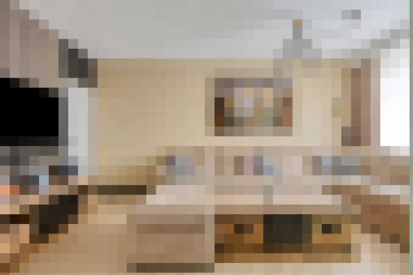 Tweede Hambaken 44 's-Hertogenbosch thumbnail 4