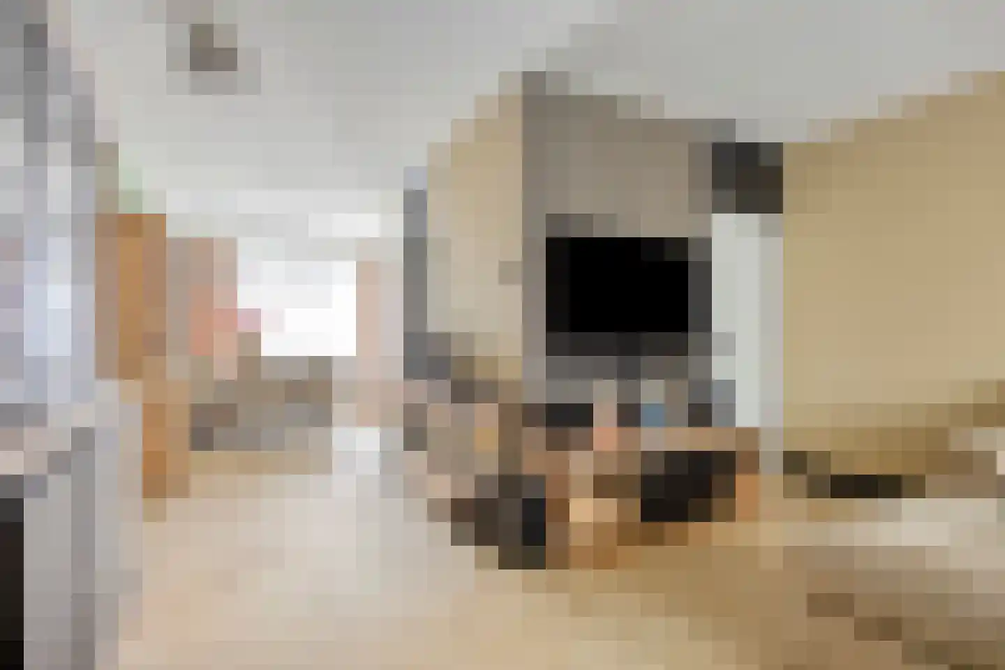 Tweede Hambaken 44 's-Hertogenbosch thumbnail 6