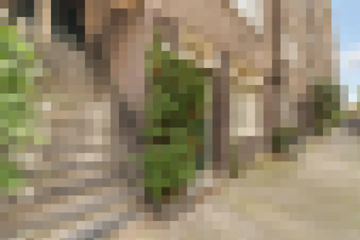 Tweede Helmersstraat 33 1 Amsterdam thumbnail 25
