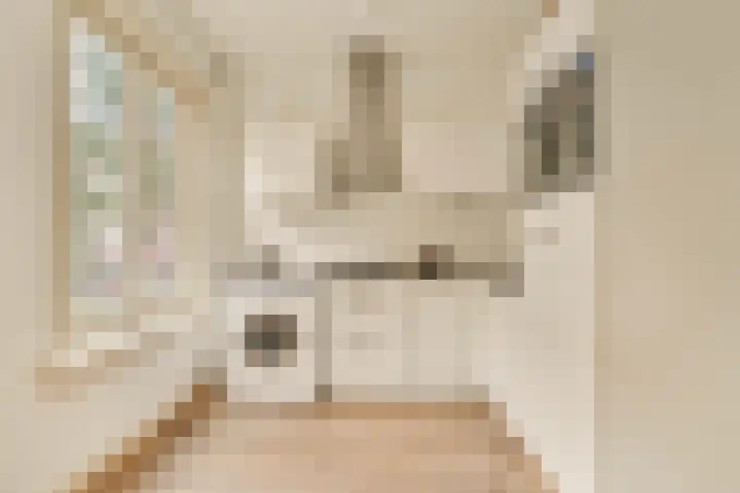 Tweede Helmersstraat 33 1 Amsterdam thumbnail 9