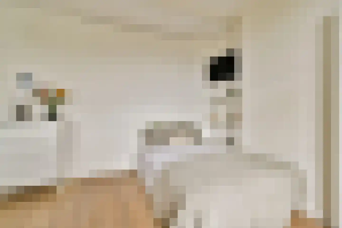 Tweede Helmersstraat 44 4 Amsterdam thumbnail 7