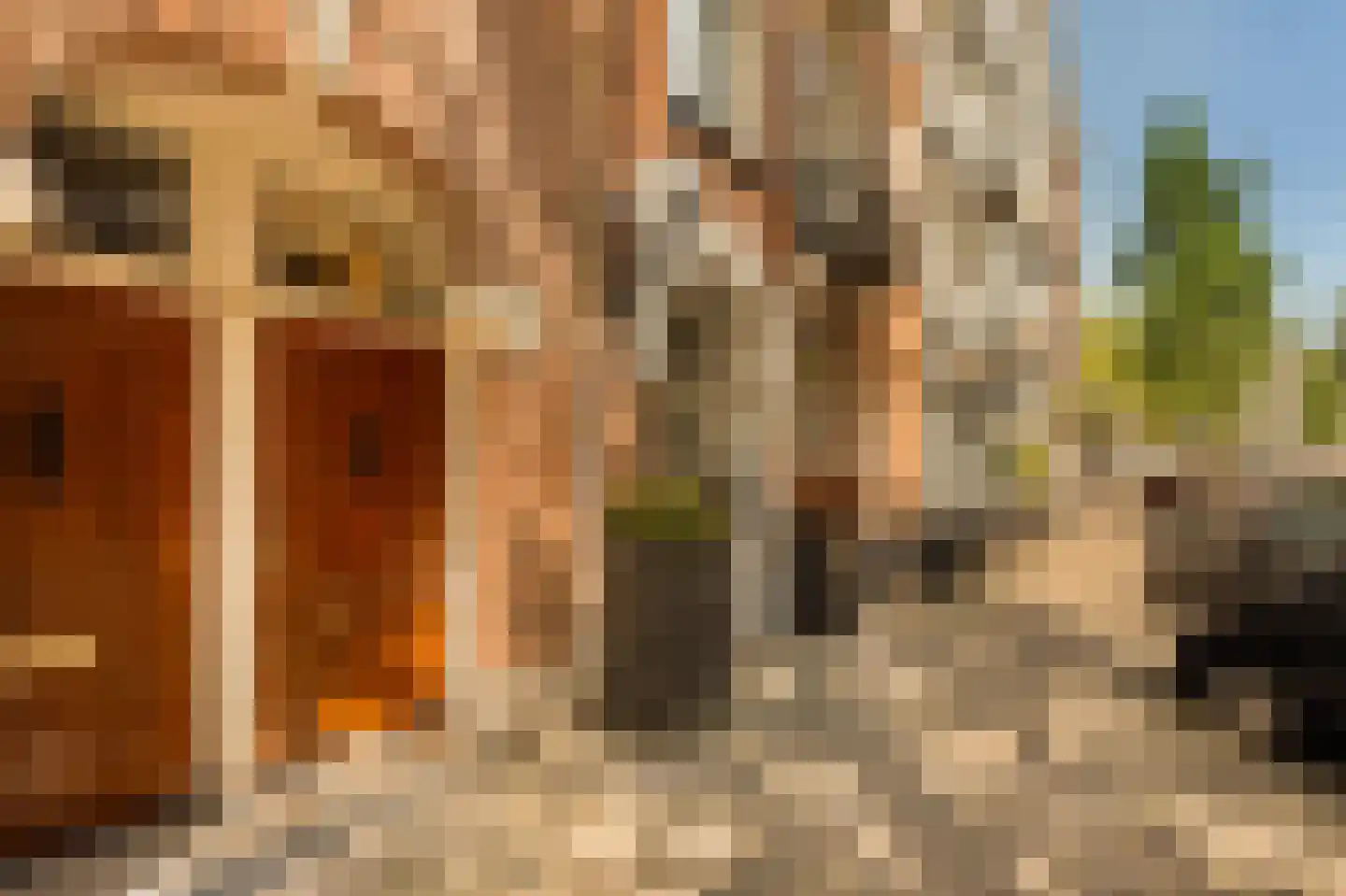 Tweede Helmersstraat 8 2 Amsterdam thumbnail 35