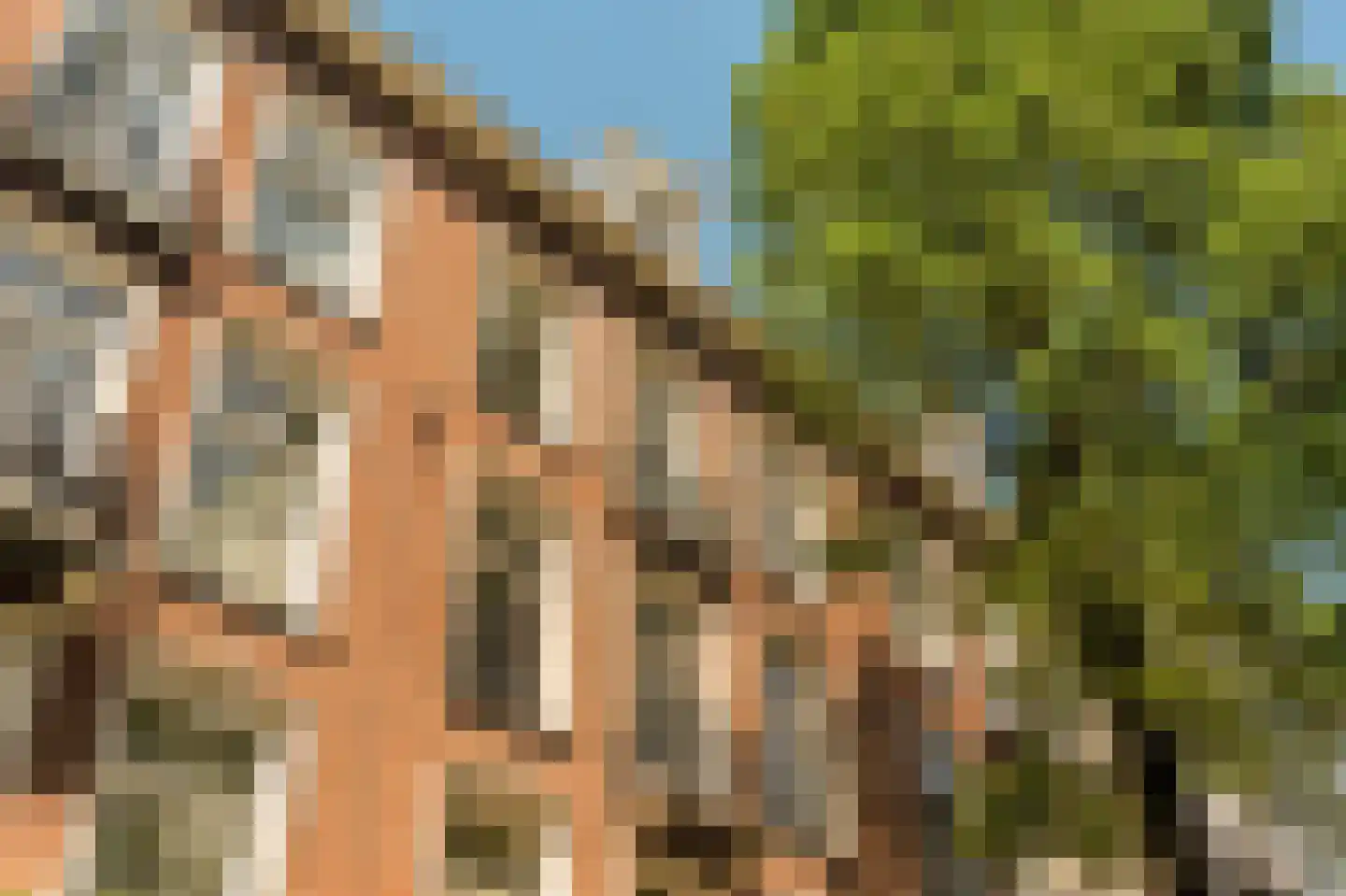 Tweede Helmersstraat 8 2 Amsterdam thumbnail 39