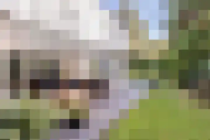 Tweede Hervendreef 3 's-Hertogenbosch thumbnail 18