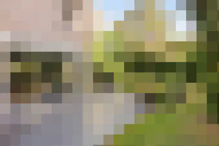 Tweede Hervendreef 3 's-Hertogenbosch thumbnail 19