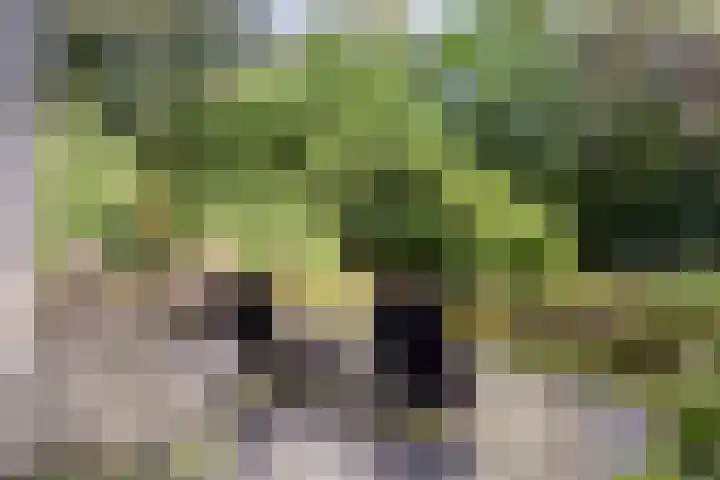 Tweede Hervendreef 3 's-Hertogenbosch thumbnail 21