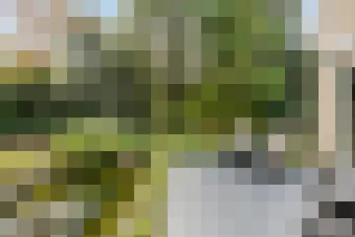 Tweede Hervendreef 3 's-Hertogenbosch thumbnail 22