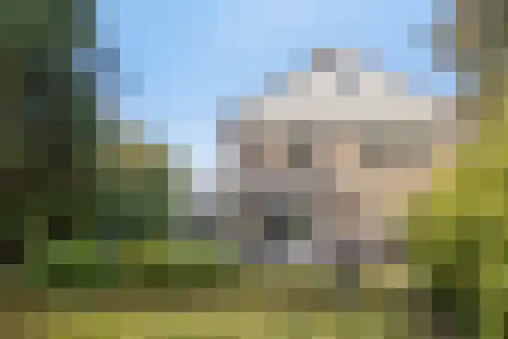 Tweede Hervendreef 3 's-Hertogenbosch thumbnail 23