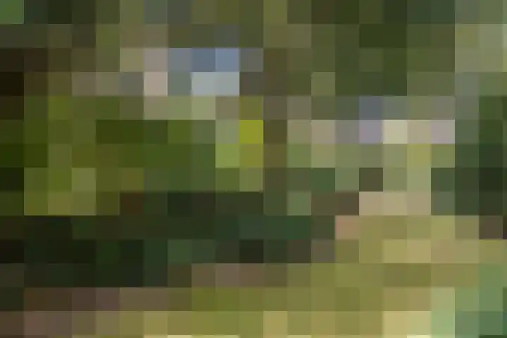 Tweede Hervendreef 3 's-Hertogenbosch thumbnail 24
