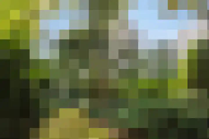 Tweede Hervendreef 3 's-Hertogenbosch thumbnail 25