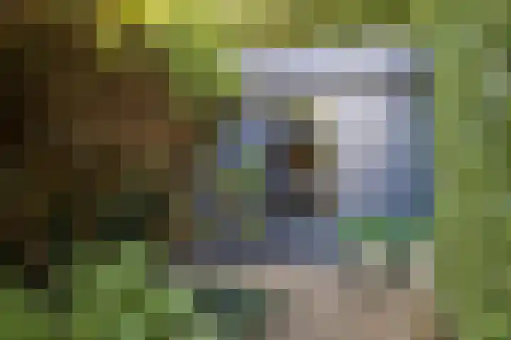Tweede Hervendreef 3 's-Hertogenbosch thumbnail 26