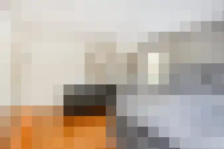 Tweede Hervendreef 3 's-Hertogenbosch thumbnail 30
