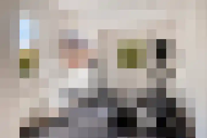 Tweede Hervendreef 3 's-Hertogenbosch thumbnail 35