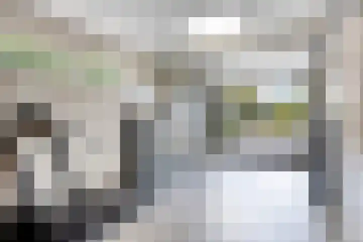 Tweede Hervendreef 3 's-Hertogenbosch thumbnail 42