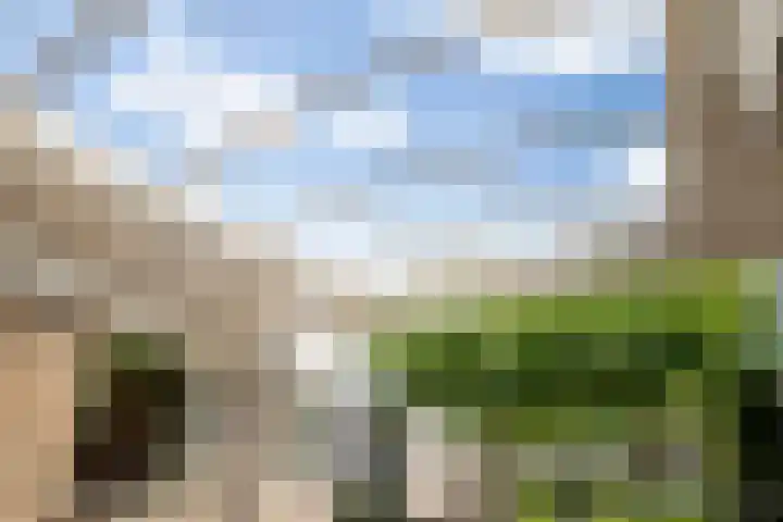 Tweede Hervendreef 45 's-Hertogenbosch thumbnail 17