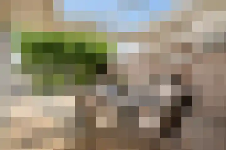 Tweede Hervendreef 45 's-Hertogenbosch thumbnail 18