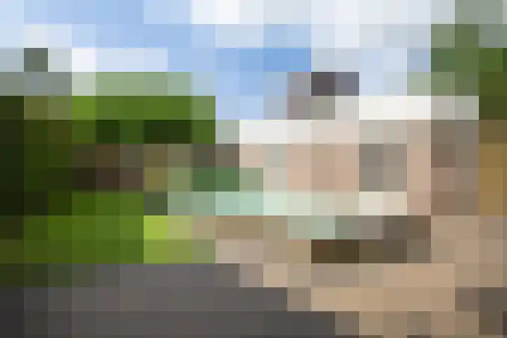 Tweede Hervendreef 45 's-Hertogenbosch thumbnail 36