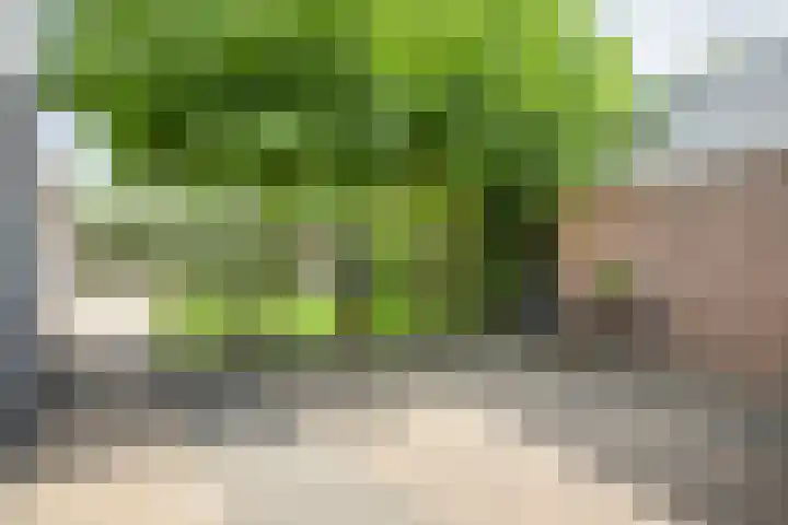 Tweede Hervendreef 45 's-Hertogenbosch thumbnail 39