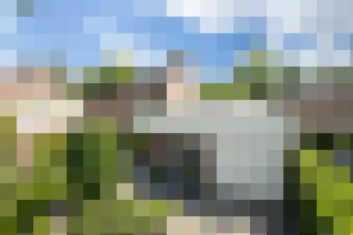 Tweede Hervendreef 45 's-Hertogenbosch thumbnail 40